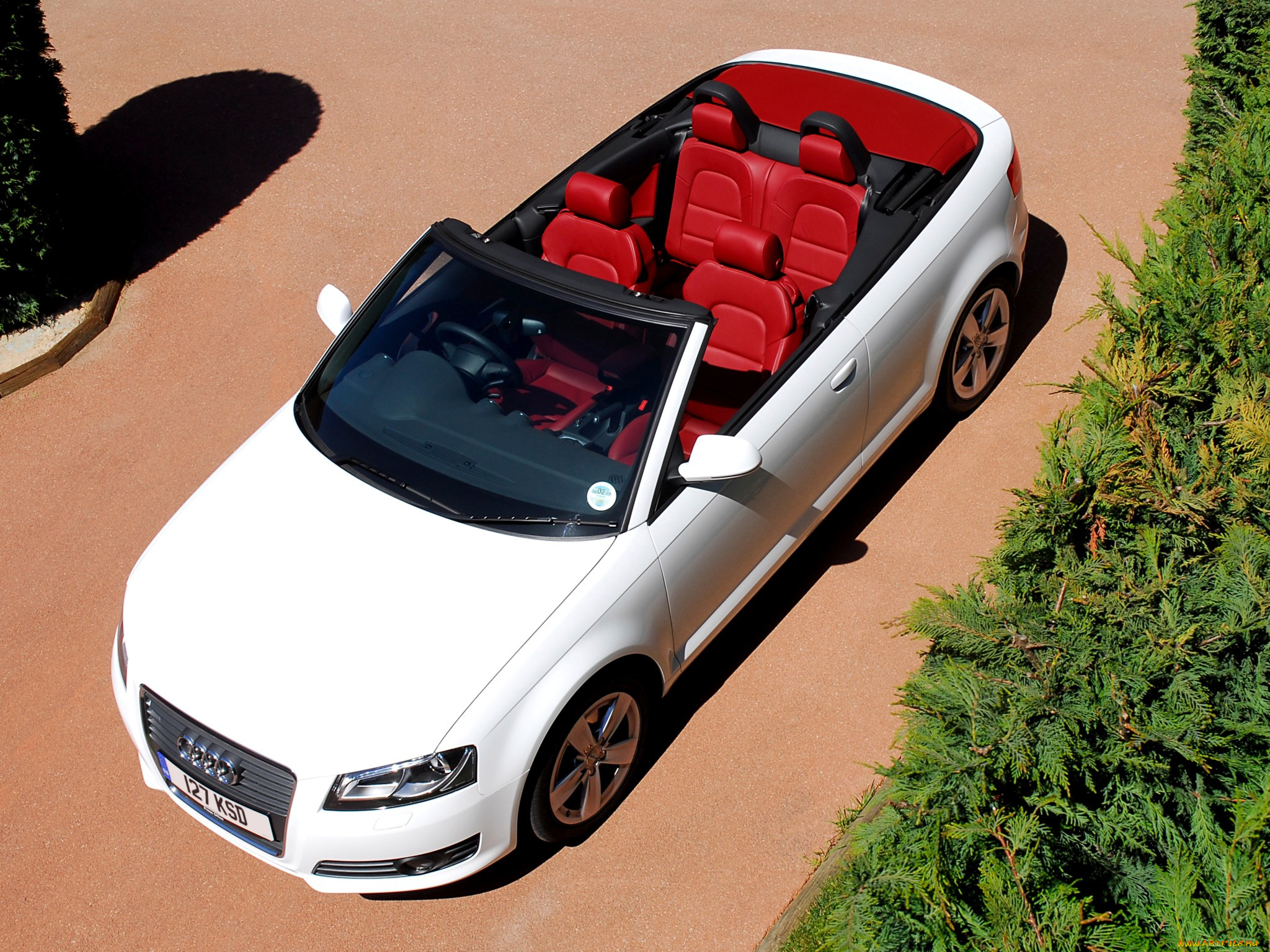 , audi